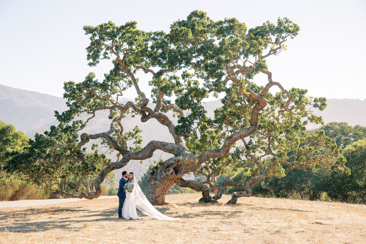 Kristen_Amrit_WEDDING_JenRodriguezPhotography_824