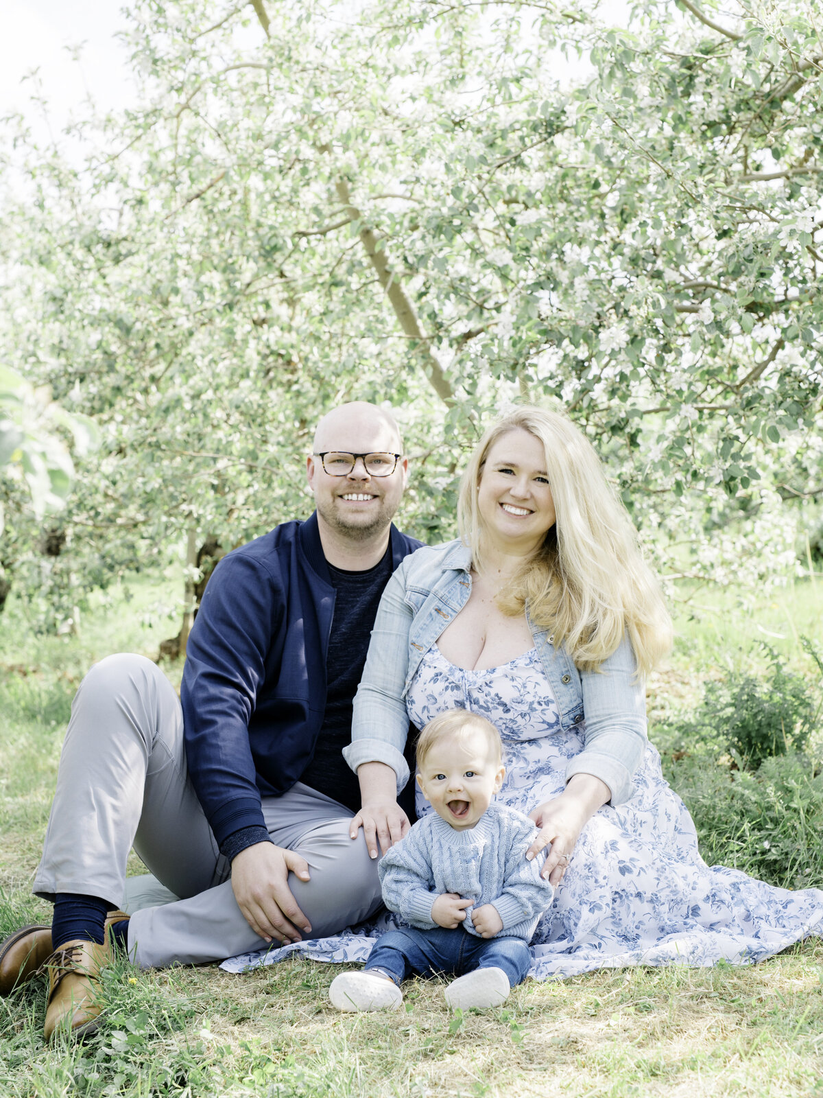 appleblossoms12