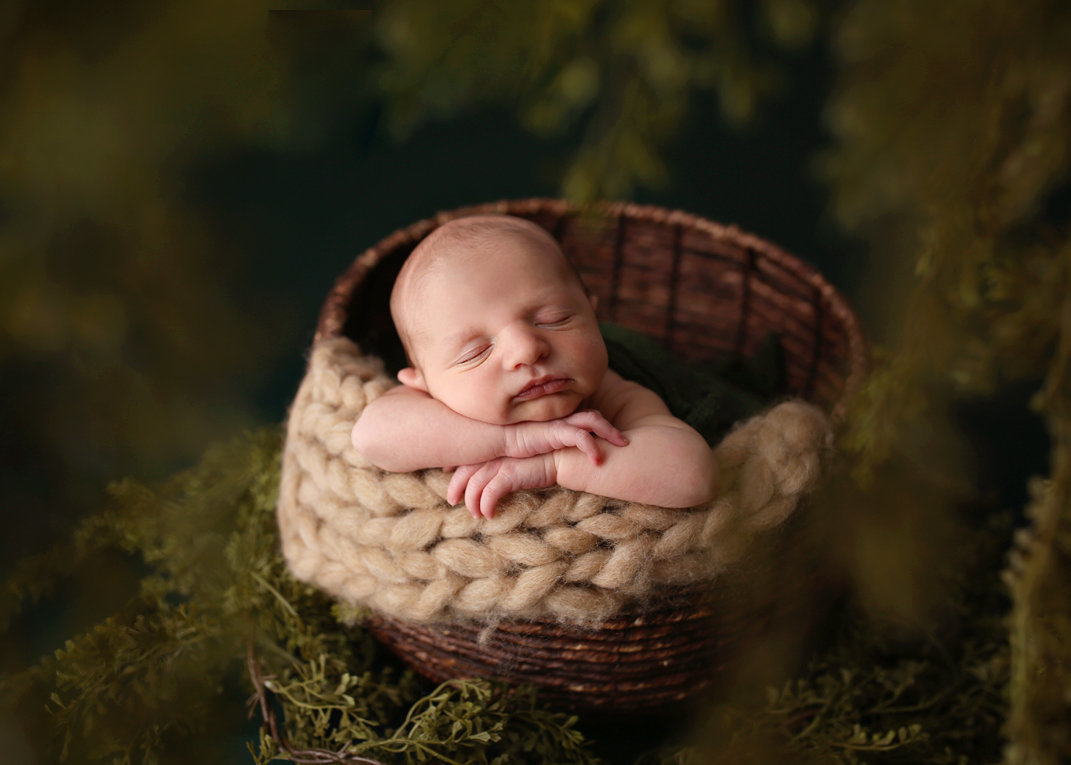 newborn boy posed in wicker basket head resting on hands against dark greenery
