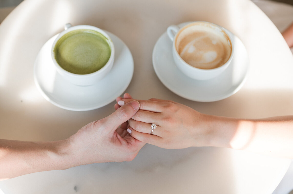 toronto engagement phototographer 12