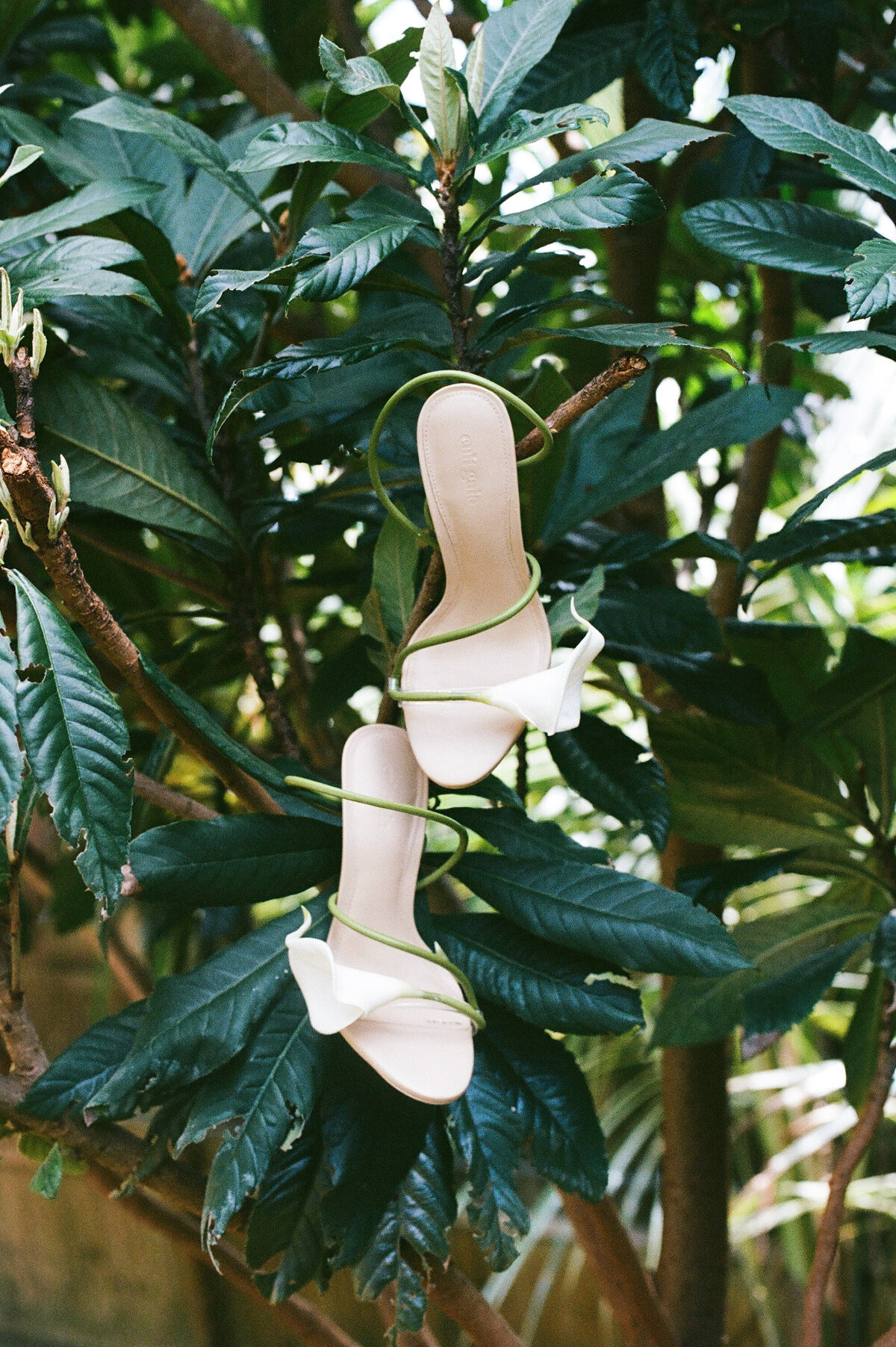 Maddie Briggs Photography-45