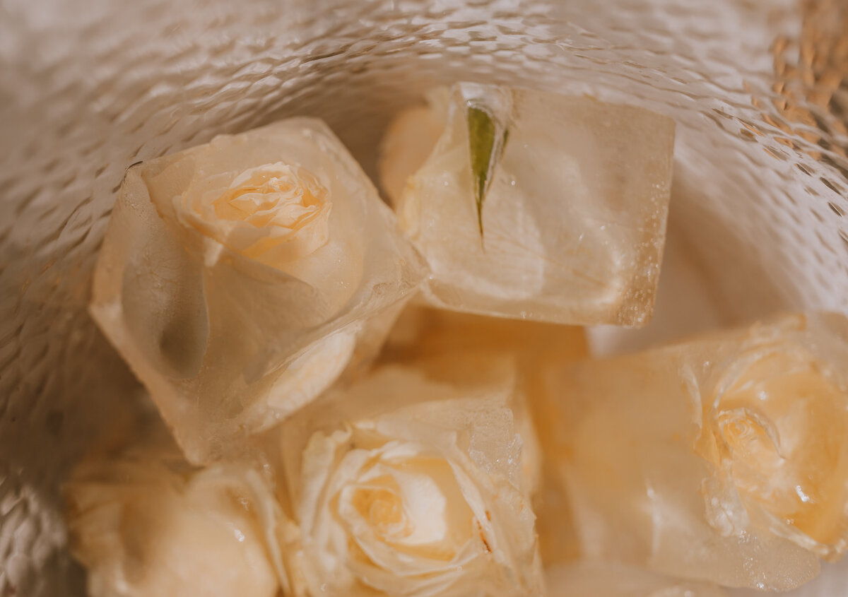 roses in ice cubes