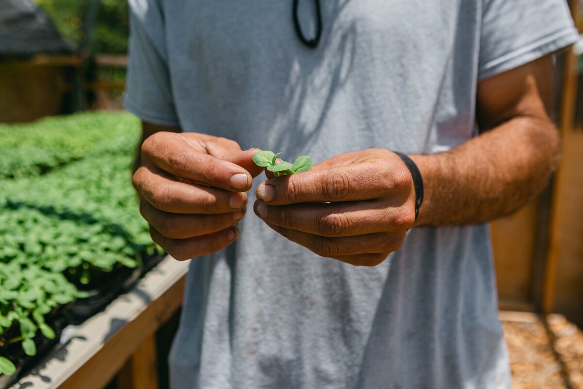 Channel-Islands-Micro-Greens-Local-Farmers-Markets-0038