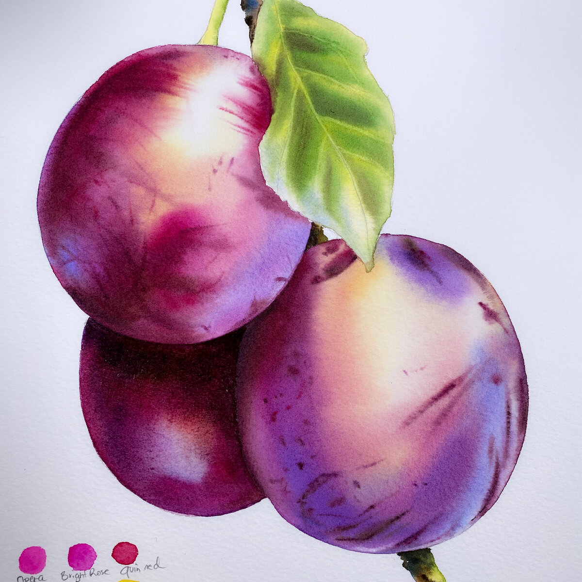 plums-painting-in-watercolor