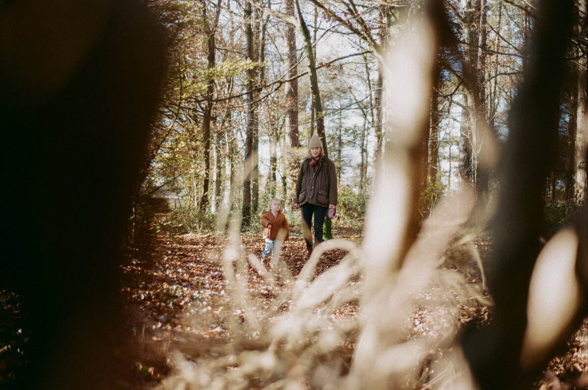 Exploring in the woods on 35mm film
