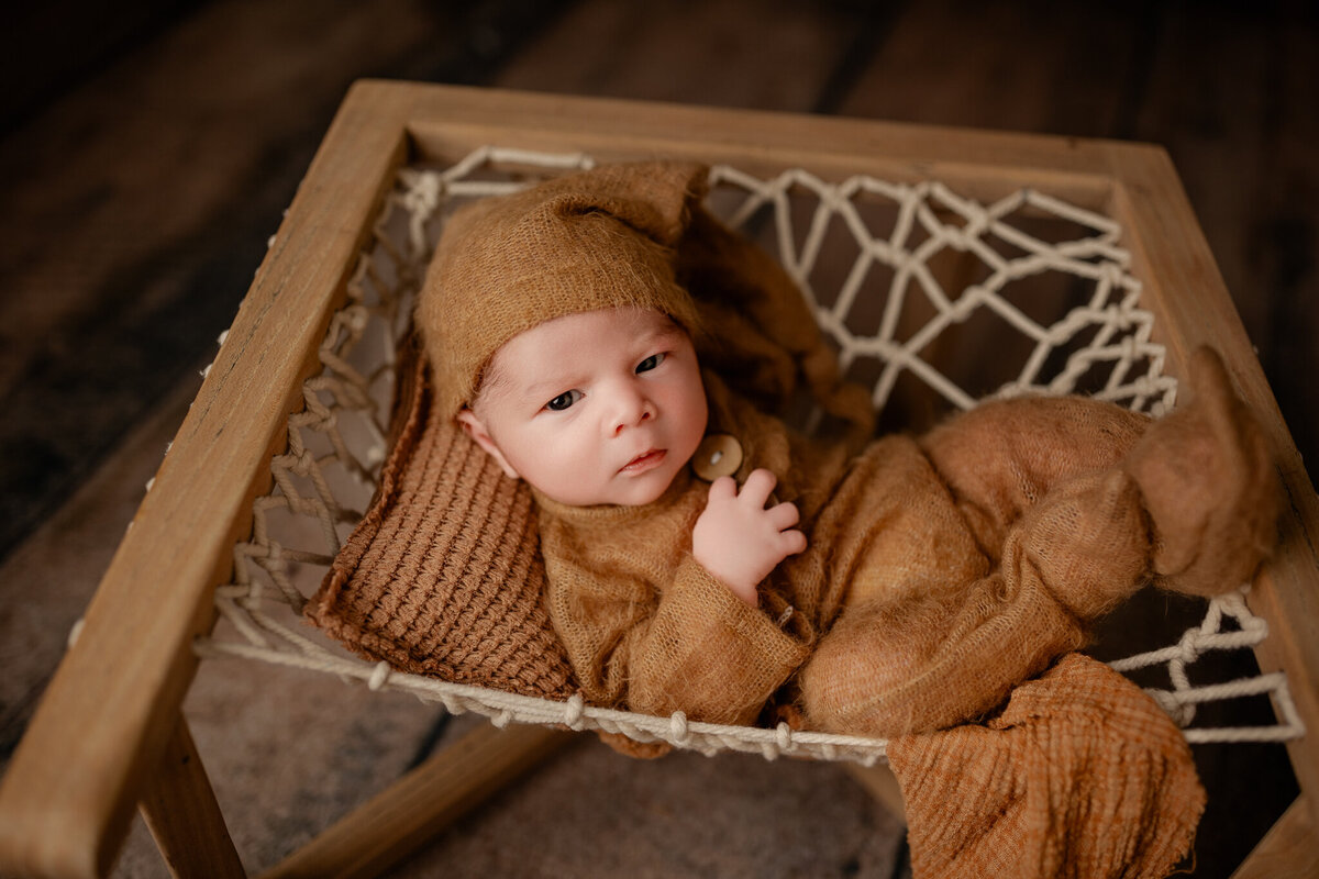 NWA newborn photographer, newborn portraits NW Arkansas