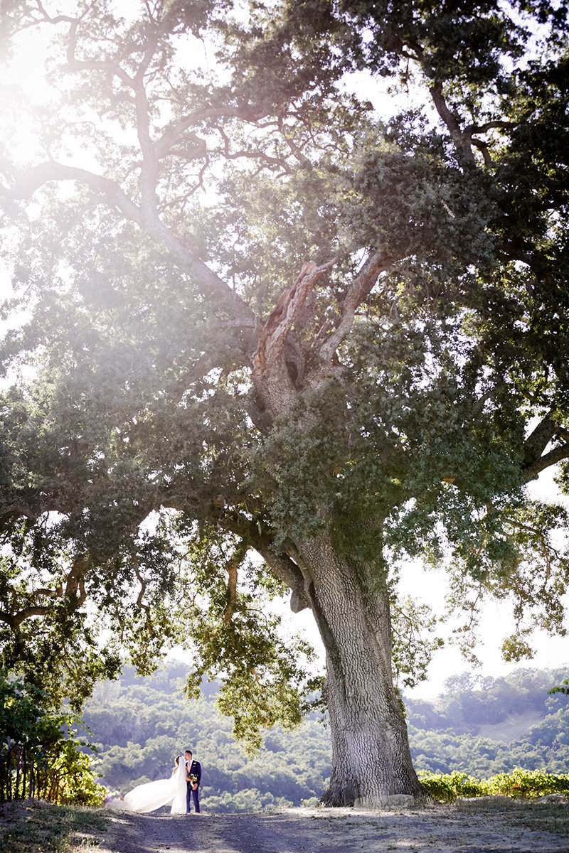 nima_kristie_wedding_day_hammersky_vineyards_by_tommy_ferrara_lux_aeterna_photography-137