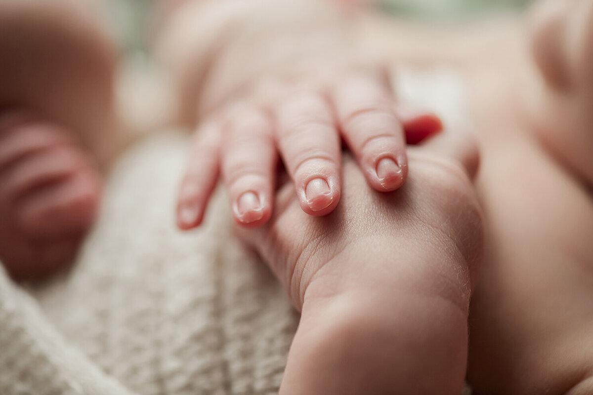 kats eye photography-central kentucky-newborn-macro-08