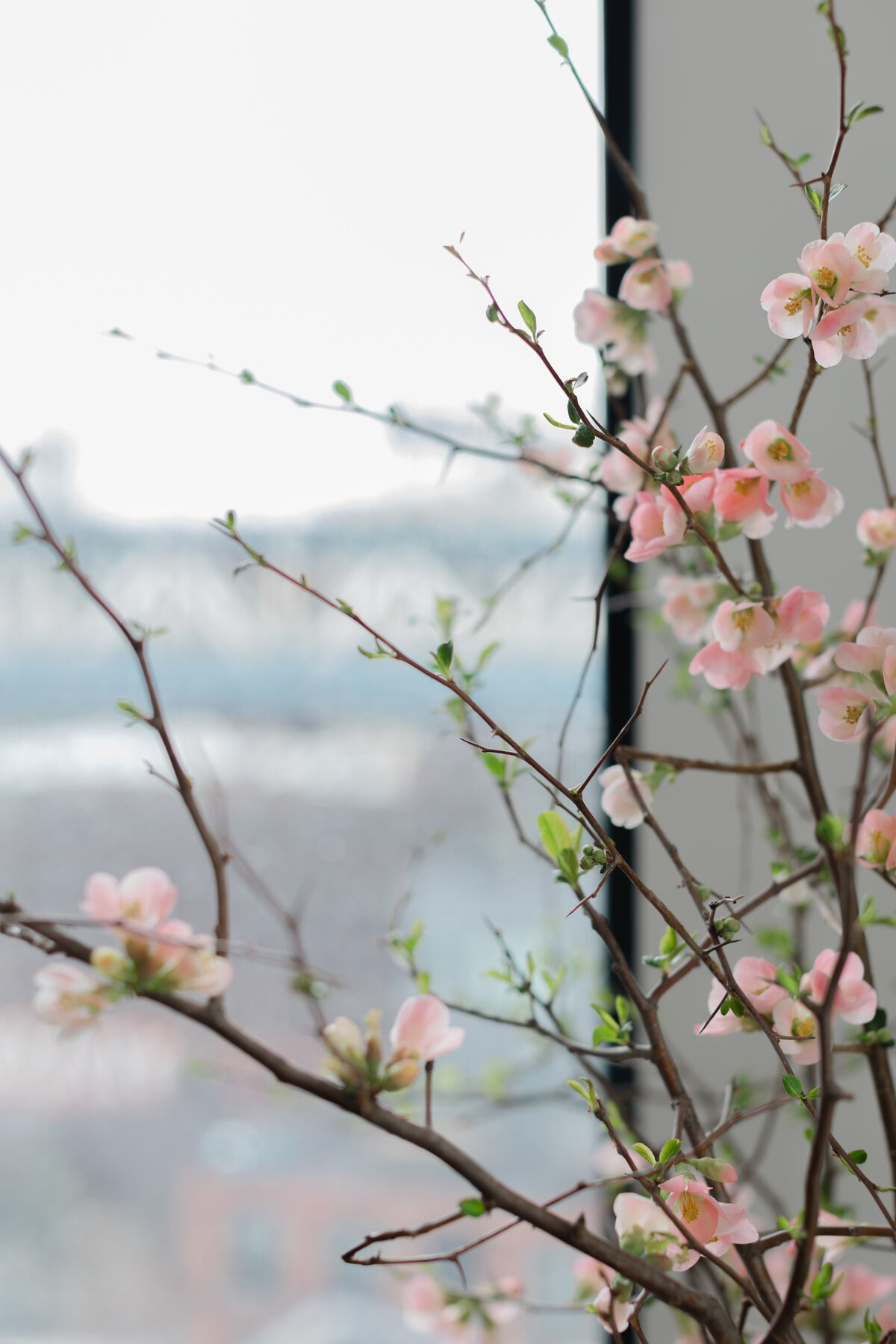 NYC-Brooklyn-Elopement Photographer-Kate Neal Photography-3