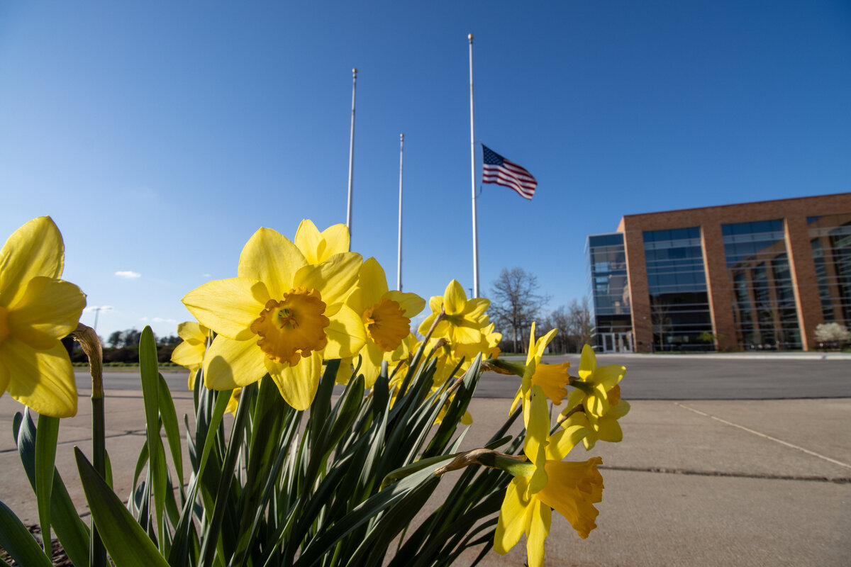 041321 Carmona College of Business springtime with daffodils in bloom with flag