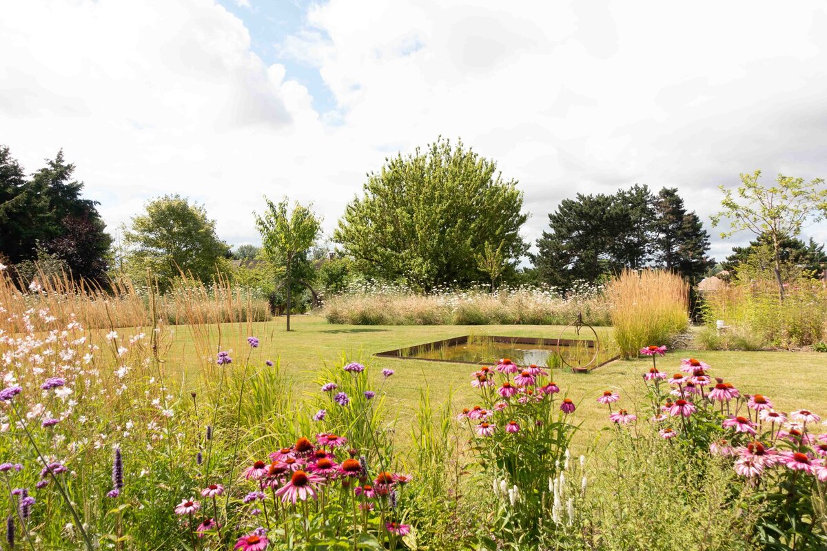 Esquisse d'un jardin naturel arboré et fleuri