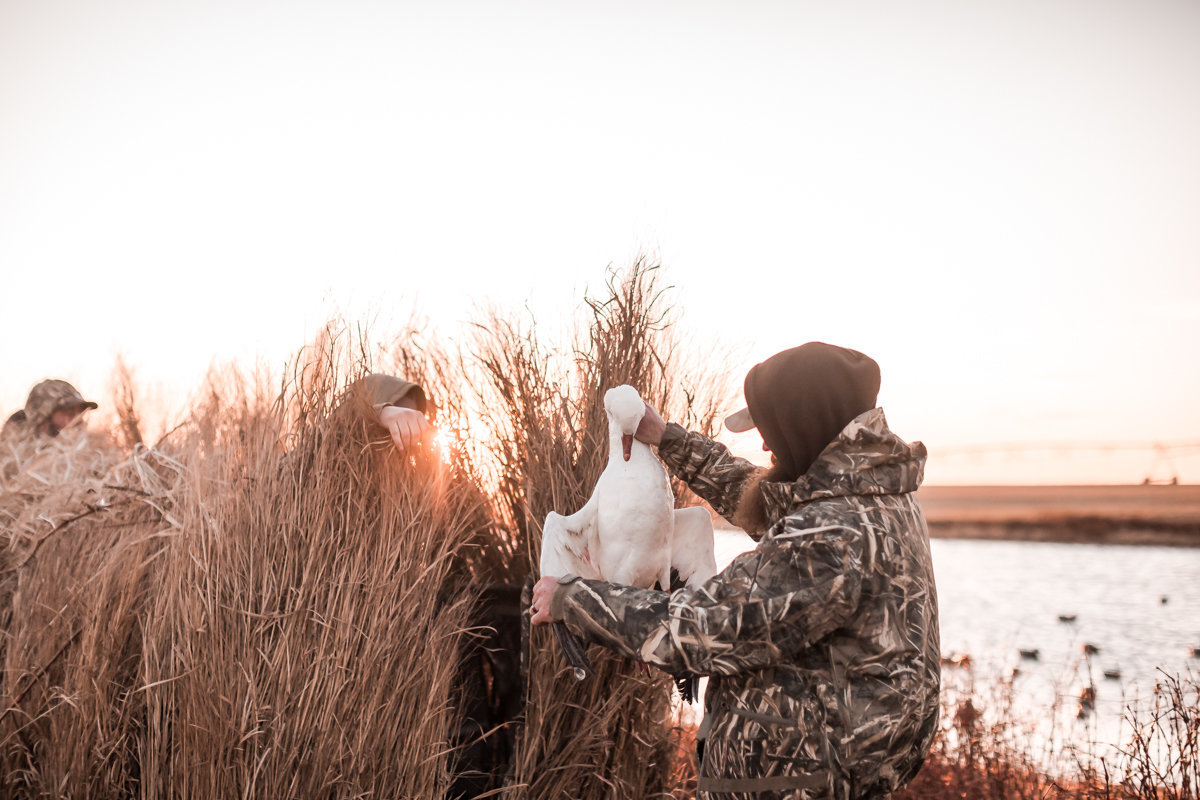 Central kansas duck hunting fowl plains -53