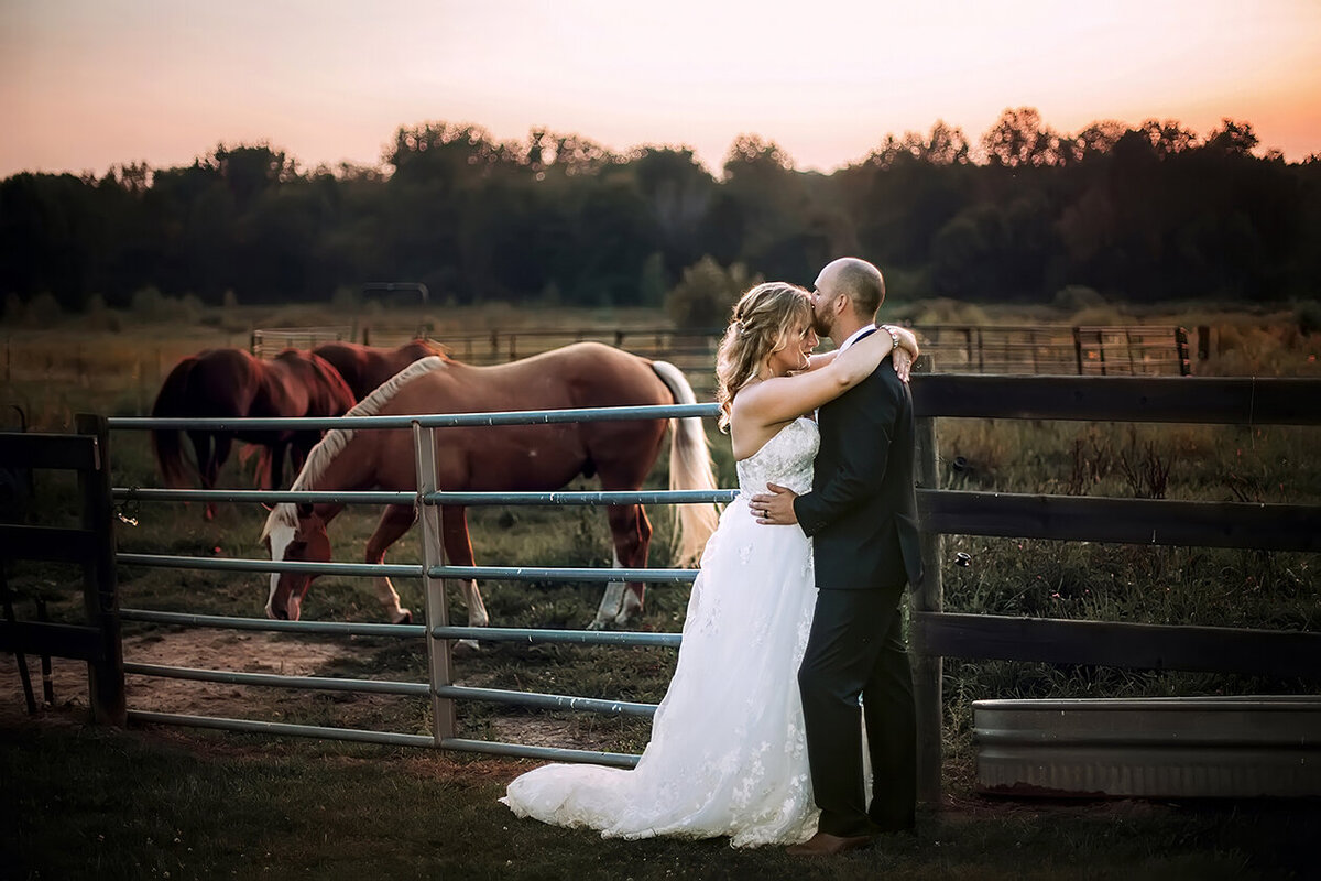 something blue berry barn michigan wedding sunset horses