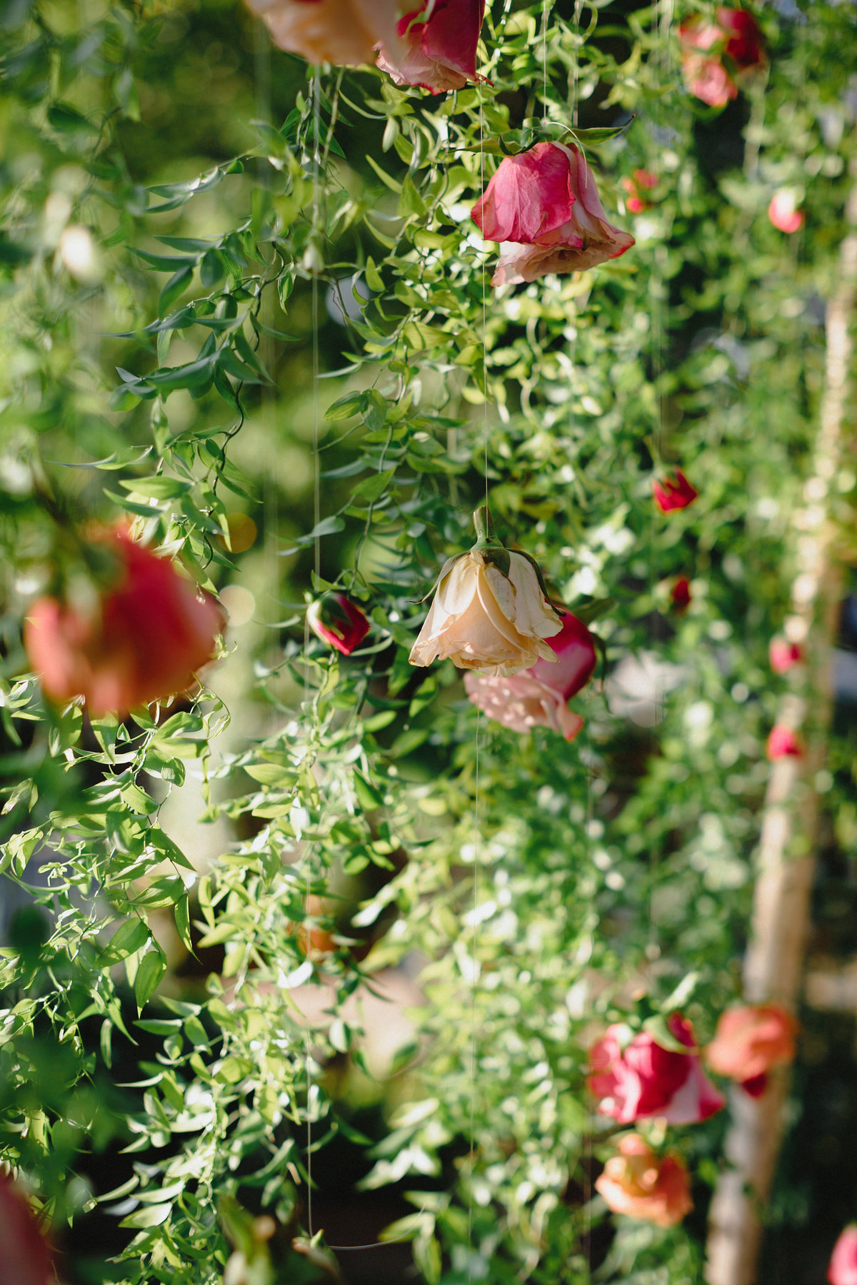 Sasha_Boris_Wedding_359