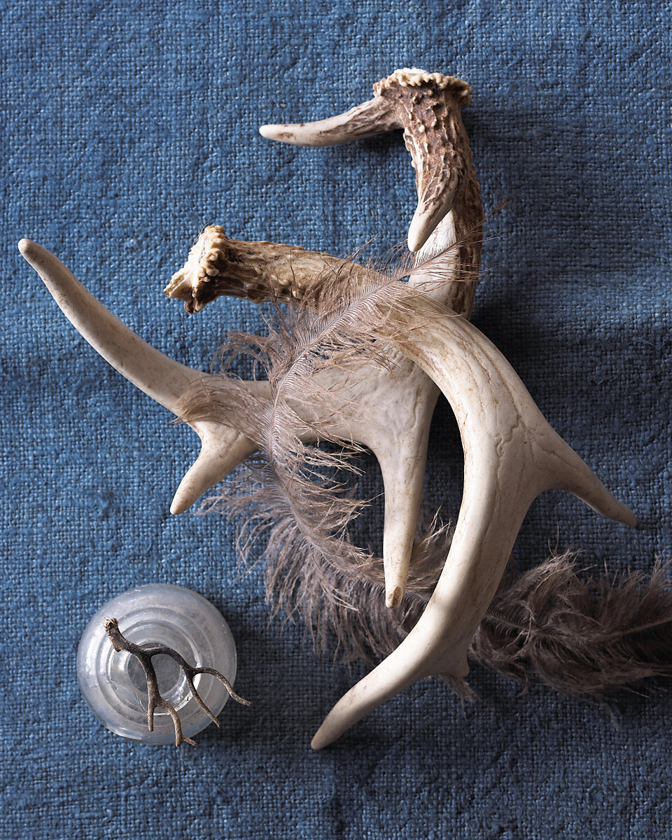 PORTFOLIO_031111_001-Edit