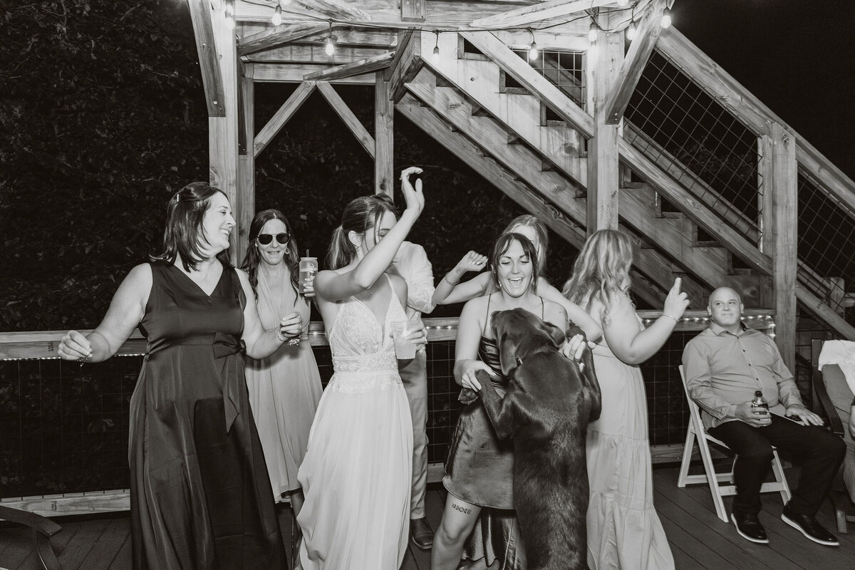 sevierville micro wedding-261