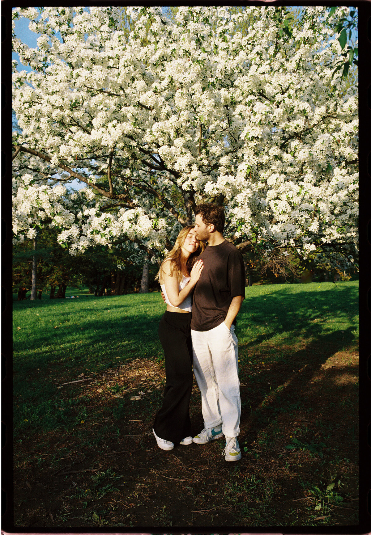 Lyndale-Rose-Garden-engagement-R&K-Will-DeGraw-Clever-Disarray-6
