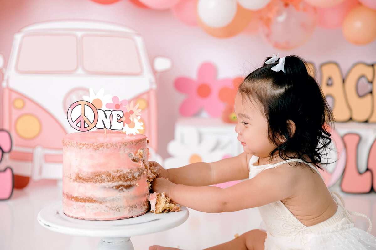 new-jersey-smash-cake-photographer-79