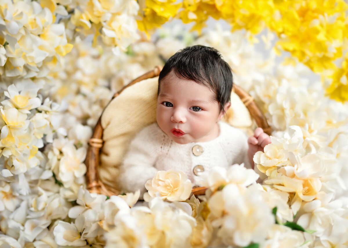 newborn fleeting moments captured in our newborn photo studio with Meraki Photographic Creations in Paris, Ontario