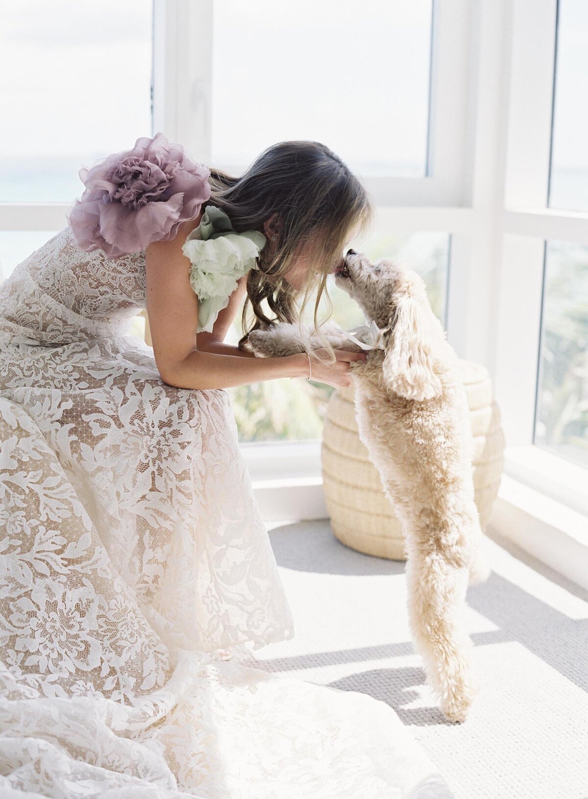 Bride Kissing Dog Newlyweds at 1Hotel South Beach Wedding