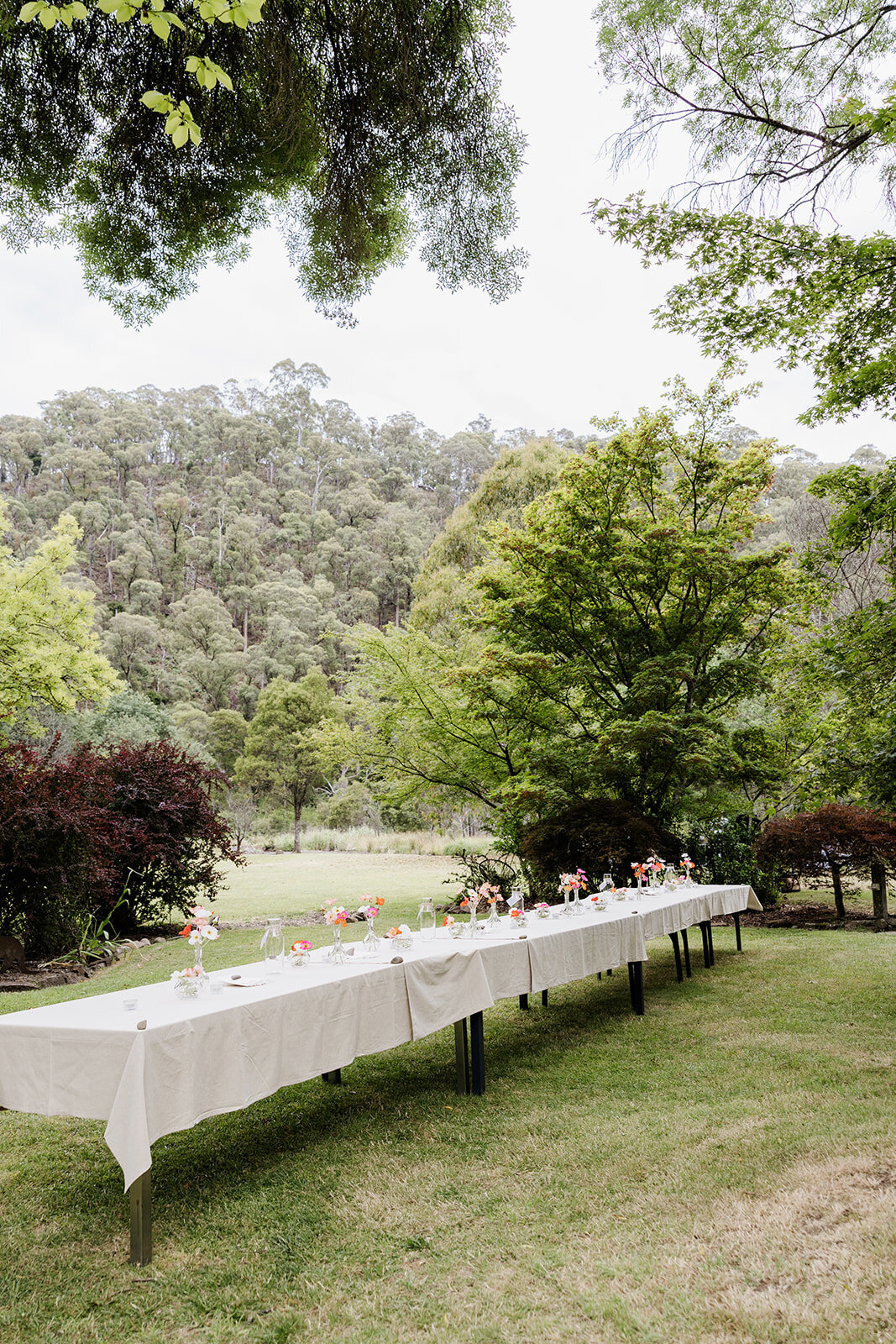 Nina and Ricky - 05.01.2025 - JessicaCarrollPhotographer-8_websize
