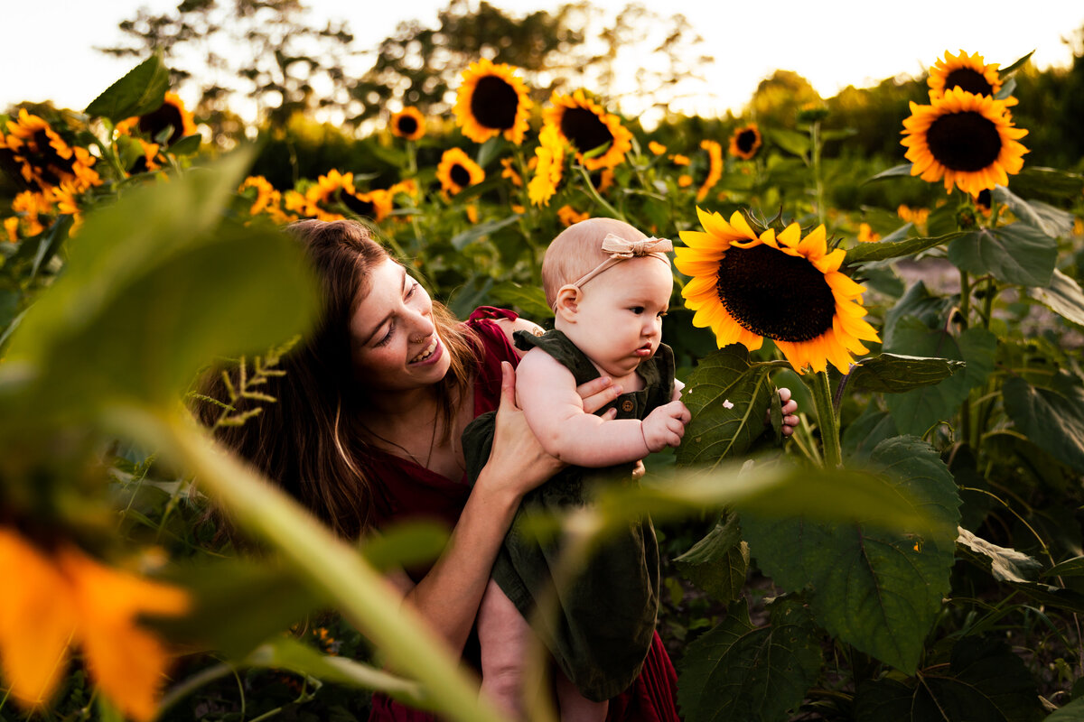 sydney sunflowers-6