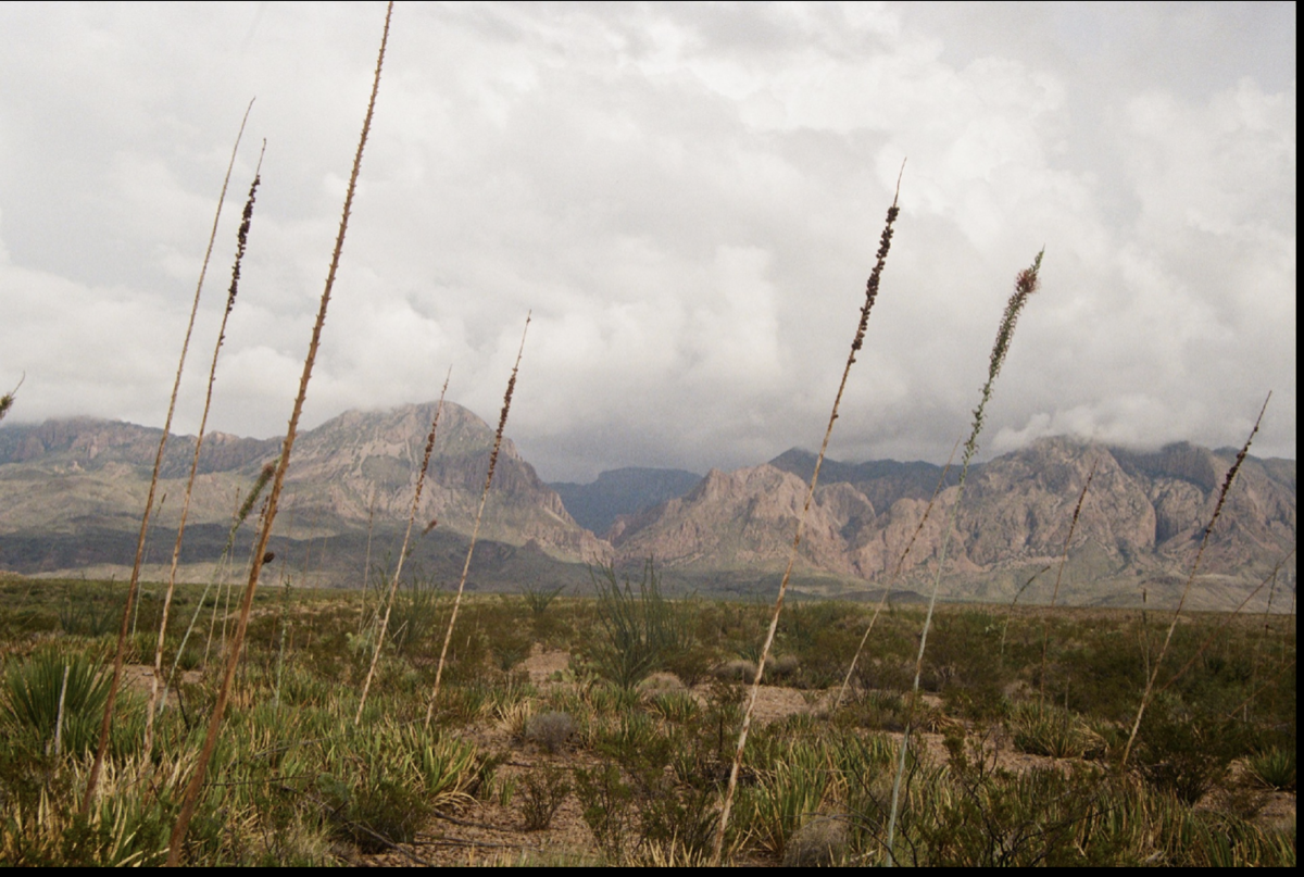 Screenshot 2025-09-23 at 4.28.52 PM