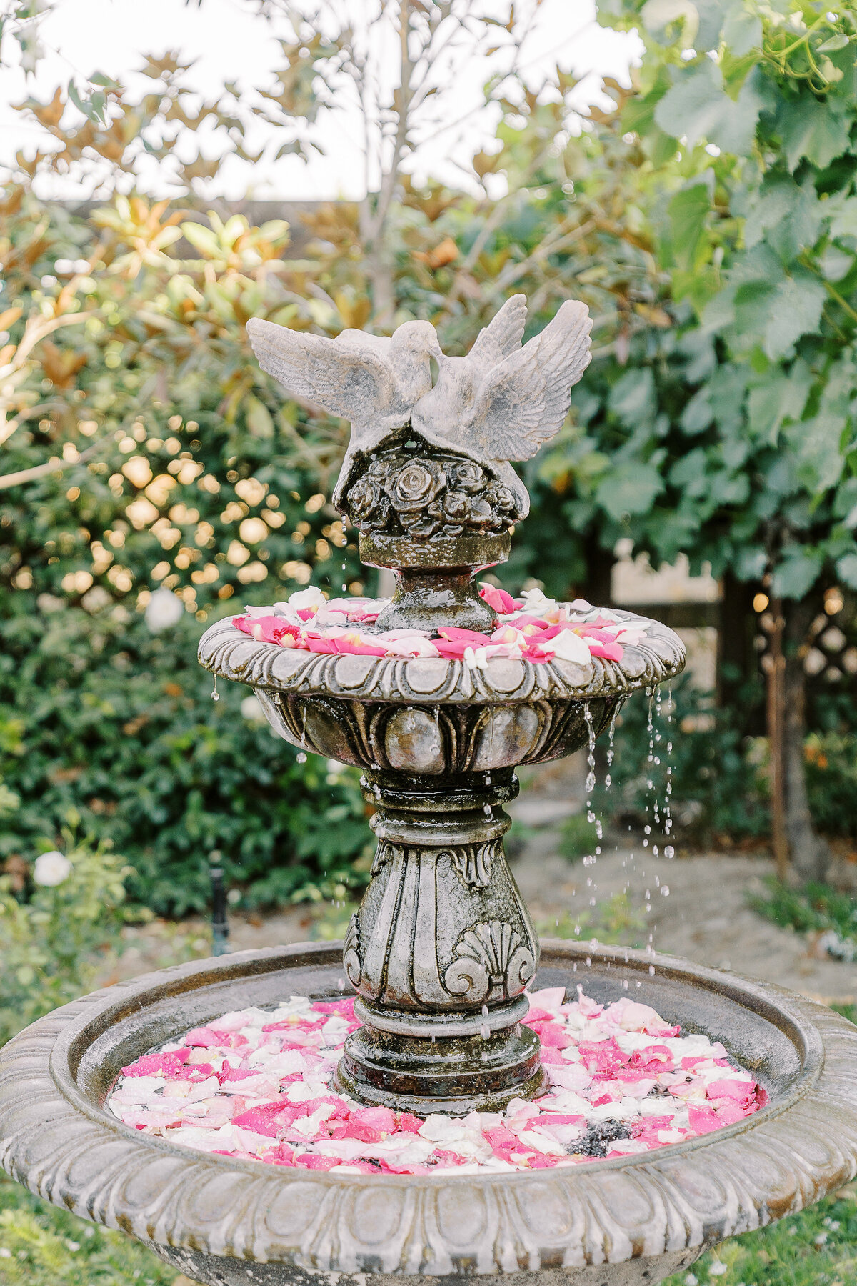 scribner-bend-vineyards-sacramento-wedding-029