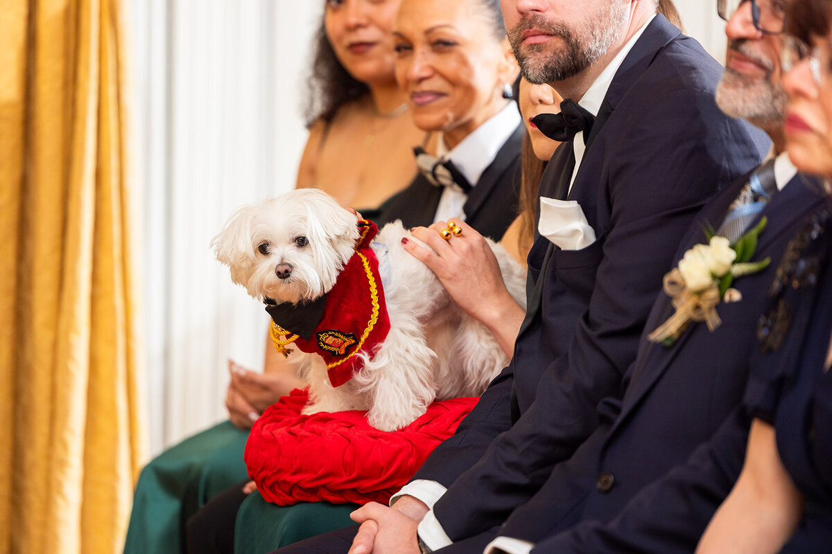 Abi and Christian_Wedding-4325