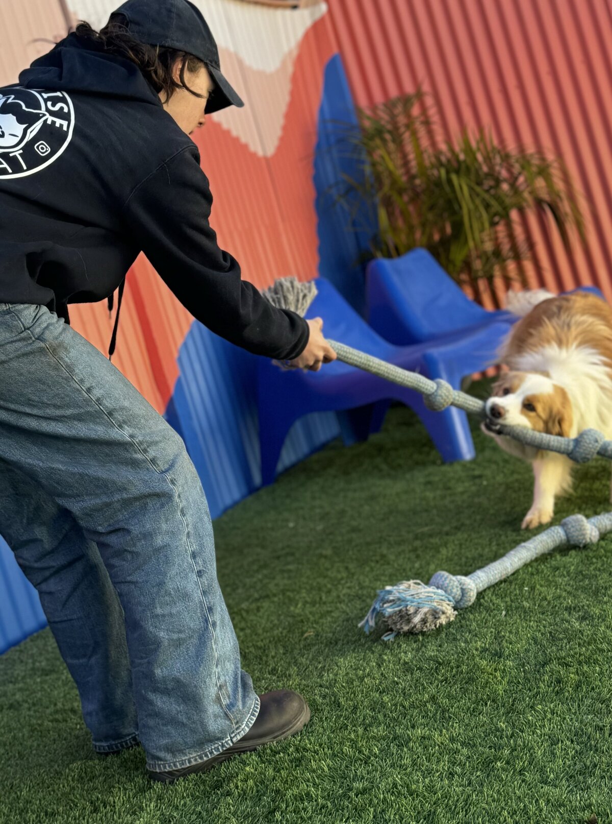 Paradise Pet Retreat Dog Kennel & Dog Boarding
