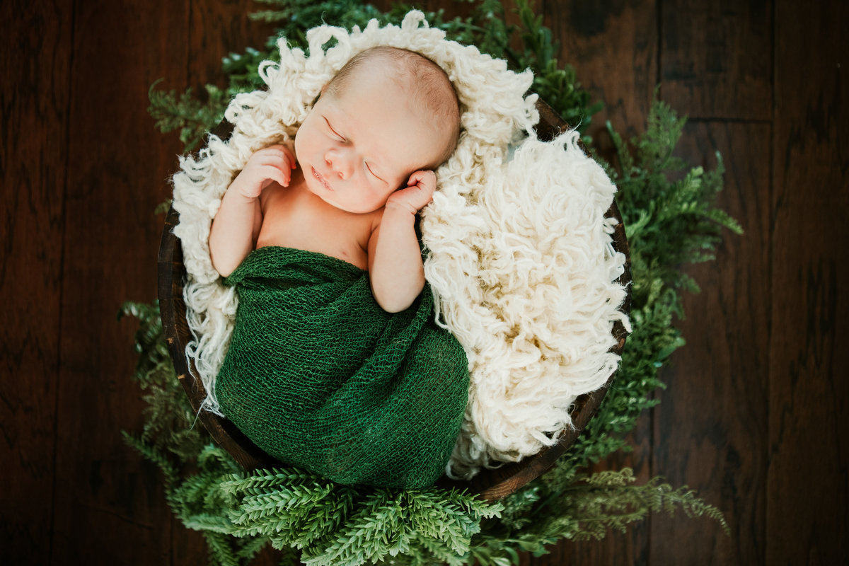 Pittsburgh Newborn Photographer