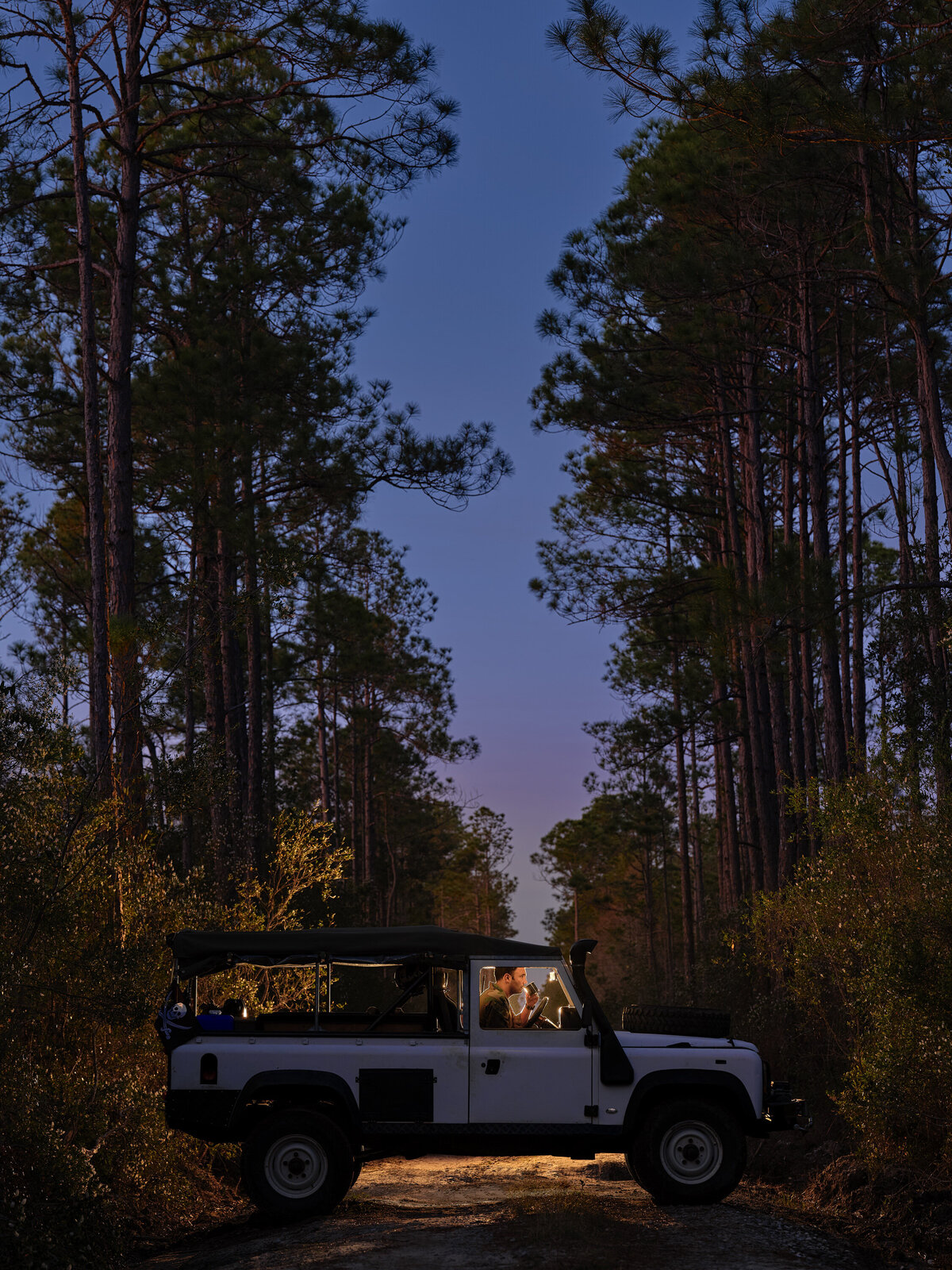 A man in a car in the woods