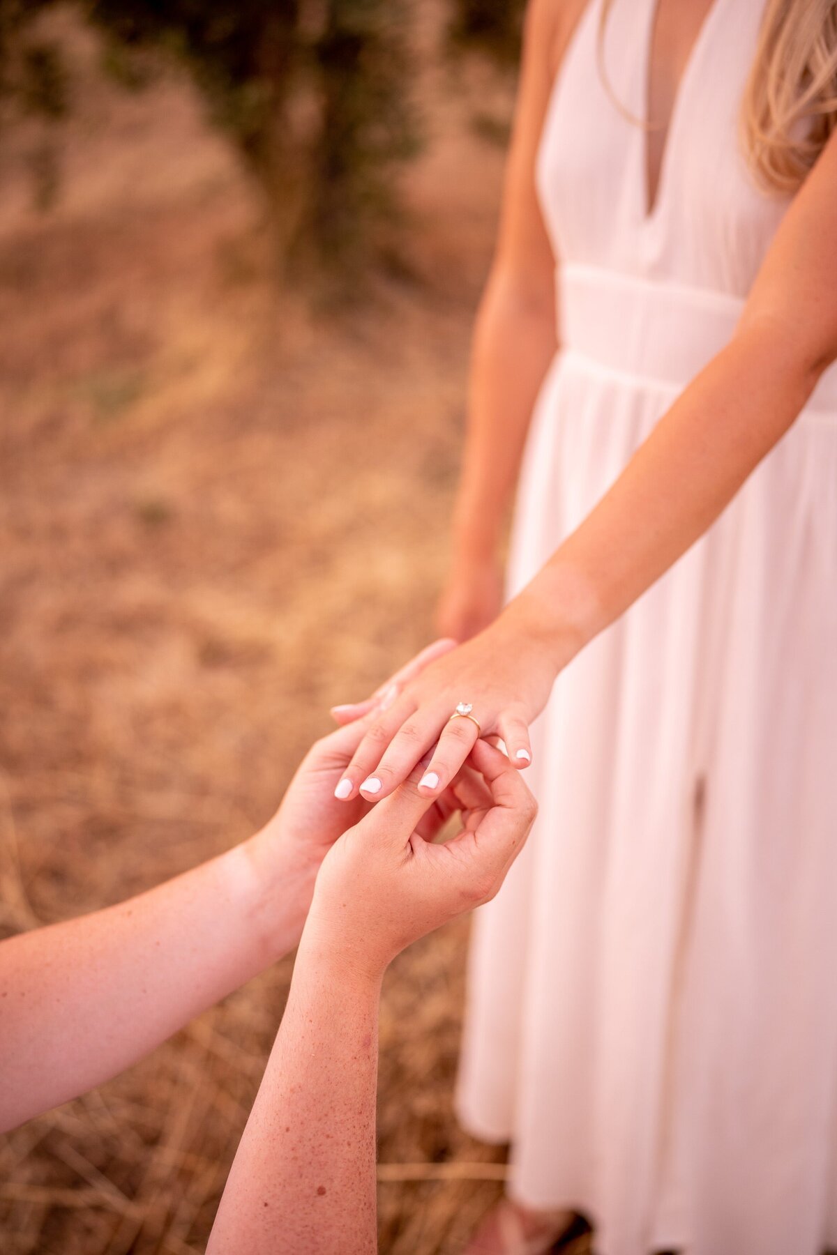 valensole proposal