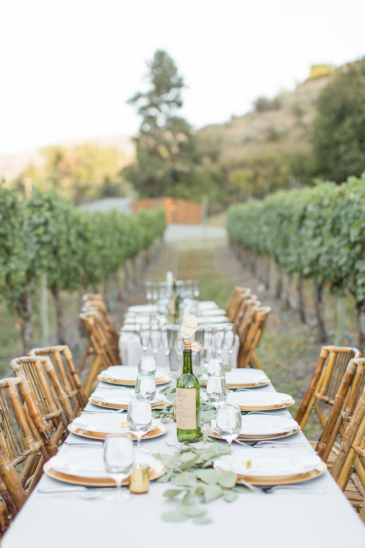 Reception Details | Emily Moller Photography | Cody & Erika | Karma Vineyards | 08.17.19 (158 of 183)