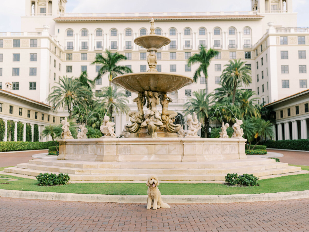 Jon & Angie - Previews - The Breakers, Palm Beach, Florida - Chrissy O'Neill & Co. - South Florida Wedding Photographer-34-Edit-2