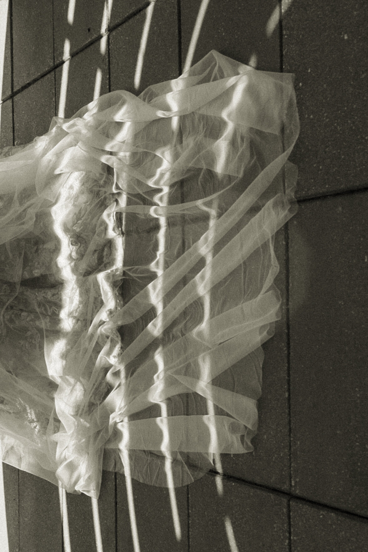 Harvey-4-FirstLook-PaytonHartsellPhotography-223