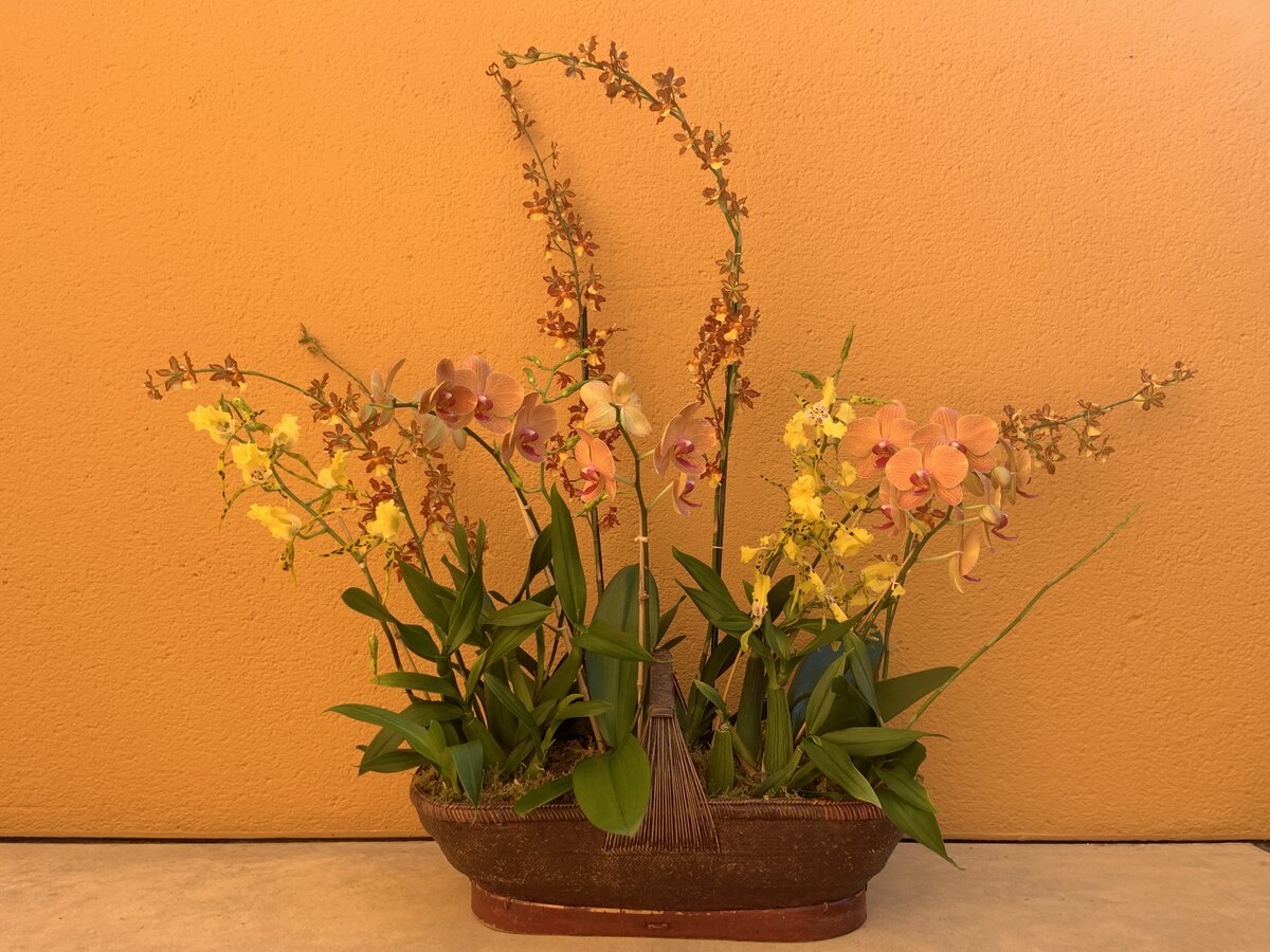 Banner option 1 orchids