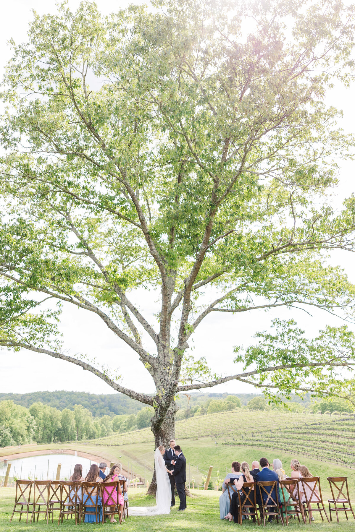 C&C Montaluce Winery Micro Wedding Photos-47