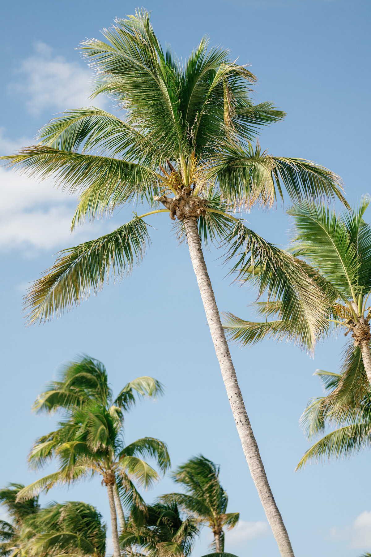 Sarasota Ritz Carlton Wedding_17