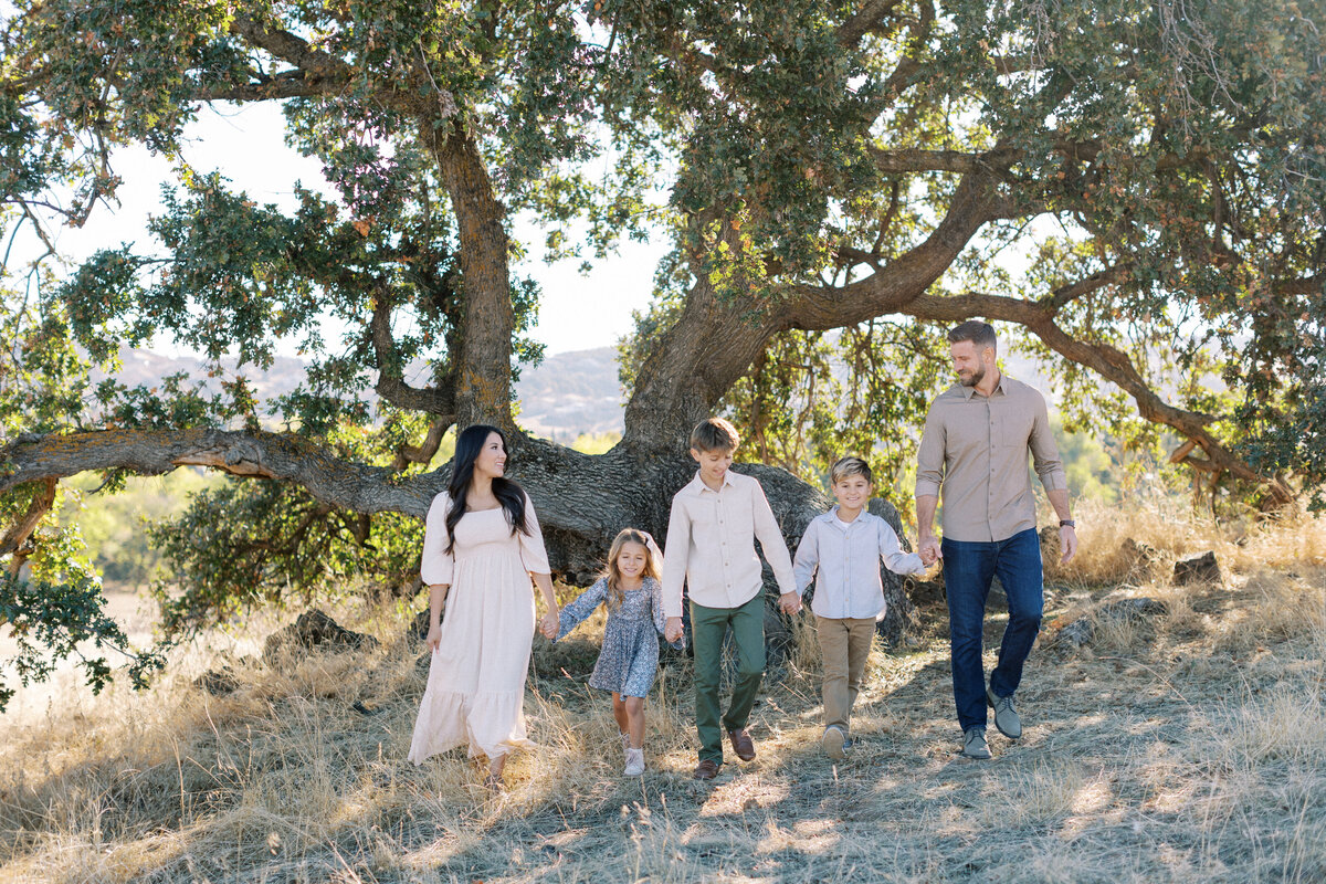 The Frisk Family | Fall Minis | Folsom, Ca