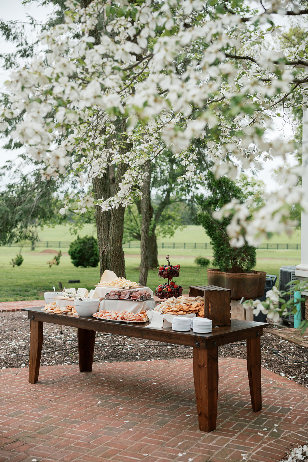 philadelphiaweddingphotographer-oliviacasey0037