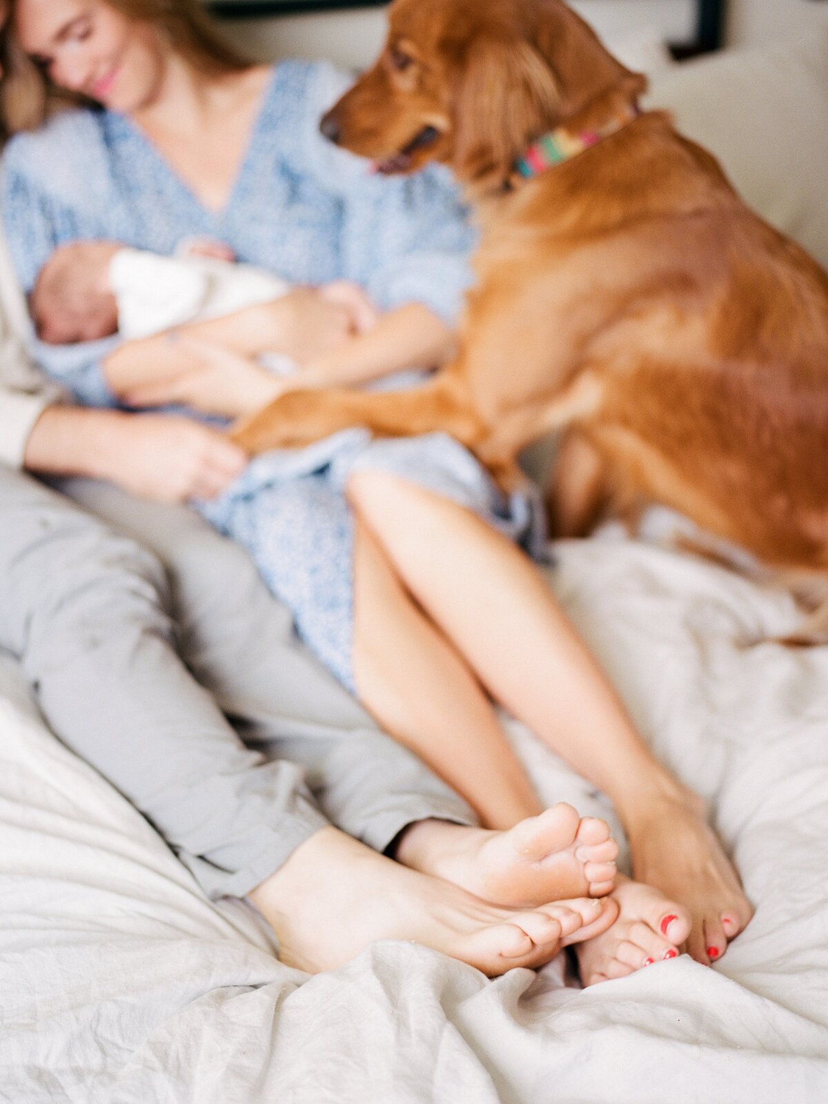 modern-natural-newborn-photos-charlottesville-virginia-amy-nicole-photography-0009