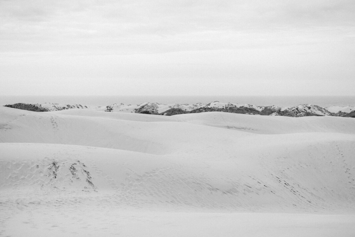 014CoastalDesertEditorialMarithaMae