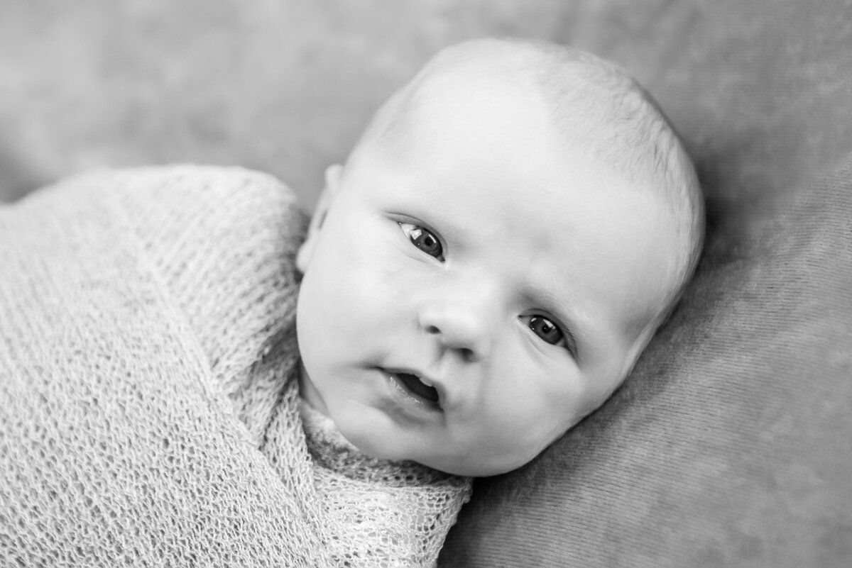 Newborn baby boy portrait in black and white