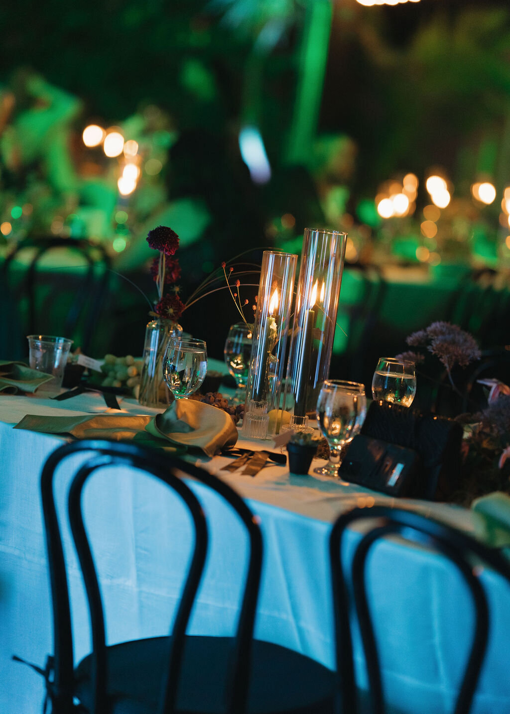 meagan-hilss-events-evening-celebration