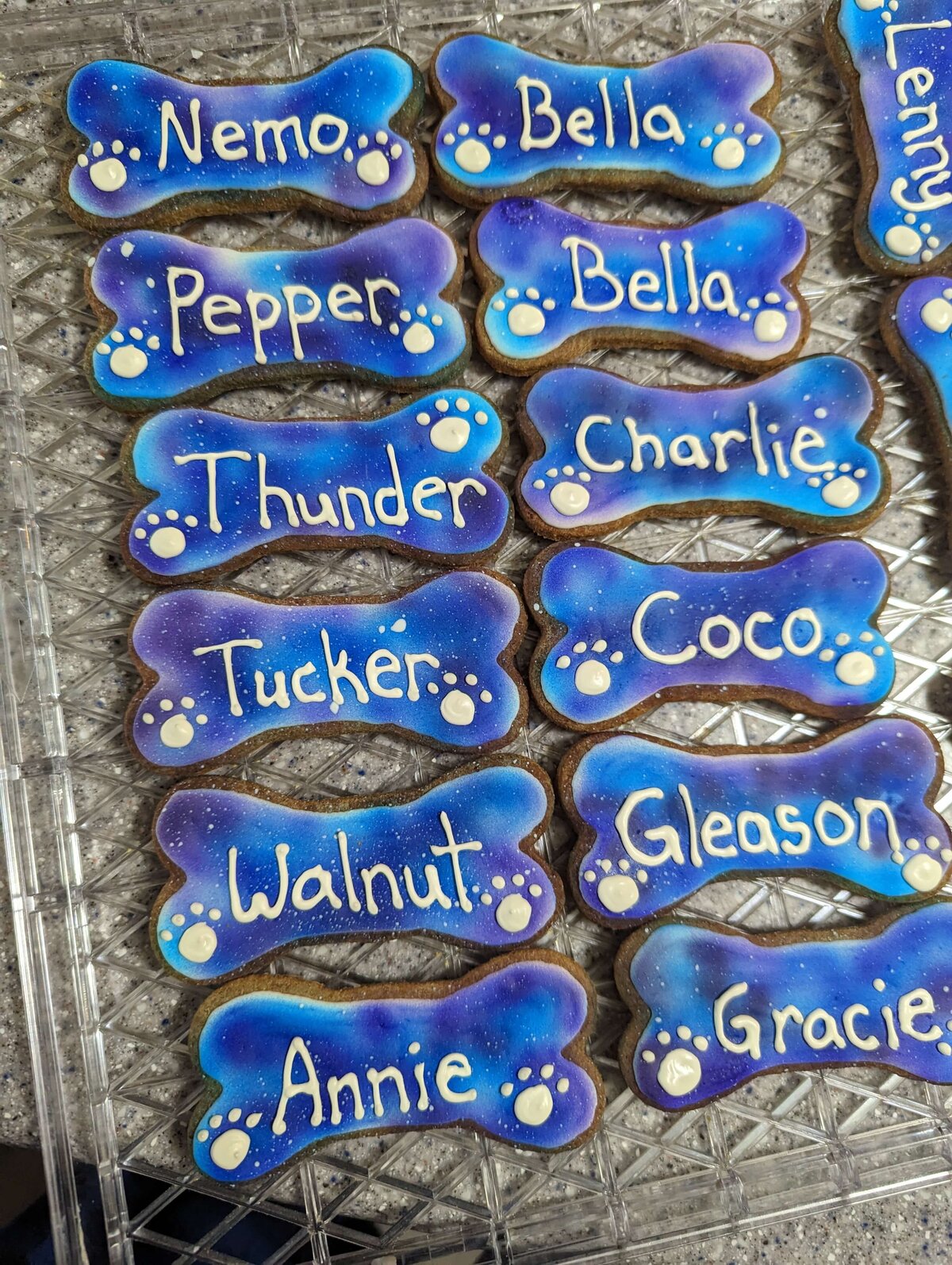 connecticut-doggie-bakery4