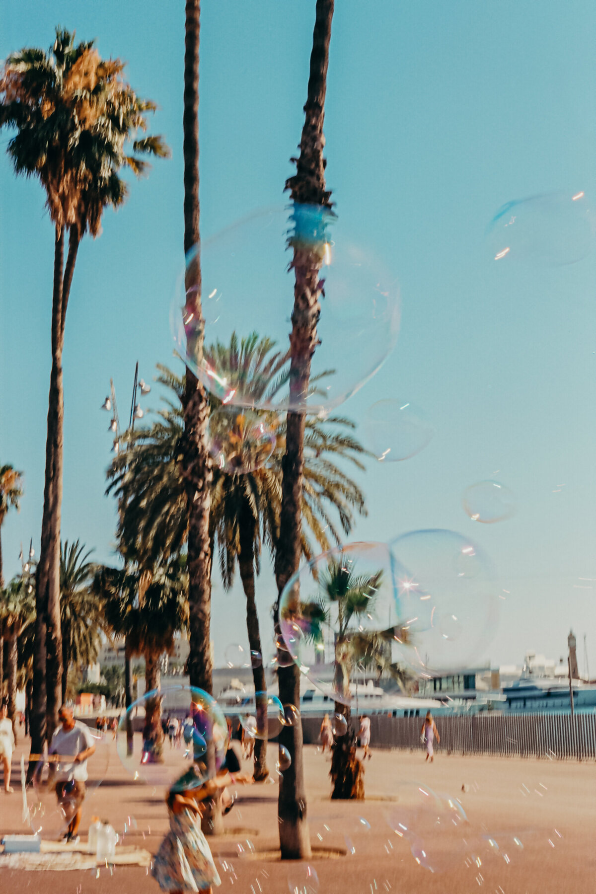 ektariFRANCEBARCA-22