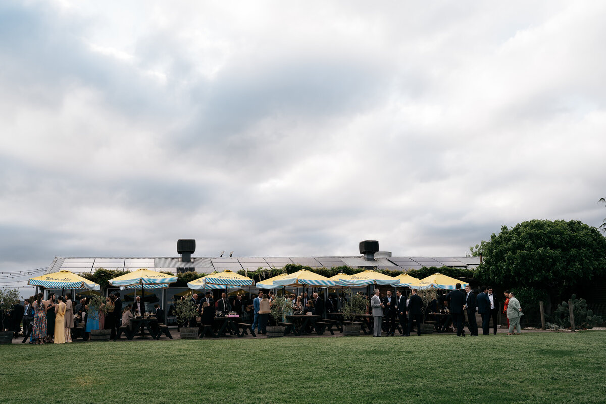 Zonzo Estate, Courtney Laura Photography, Yarra Valley Wedding Photographer, Jaclyn and Fletcher-763