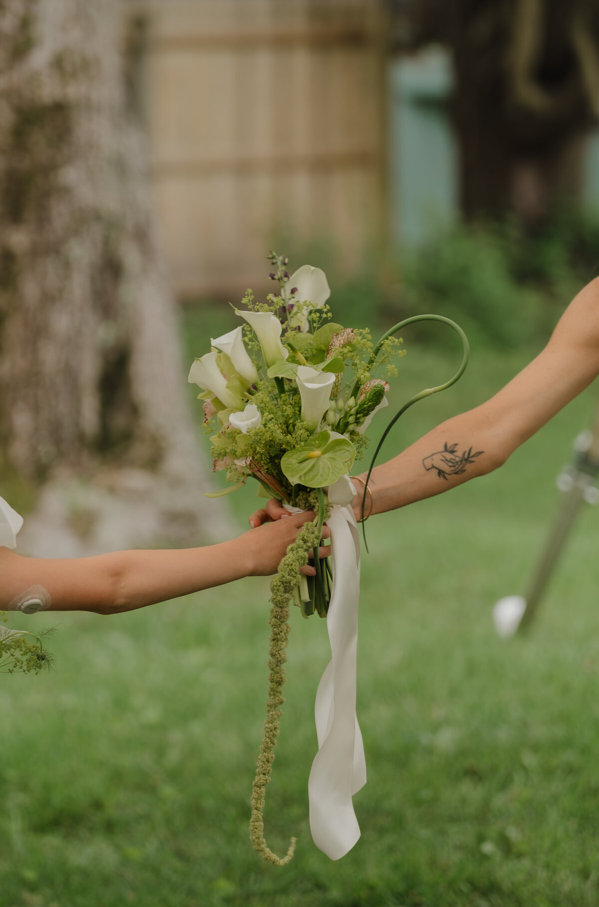 DSC08817-Enhanced-NR