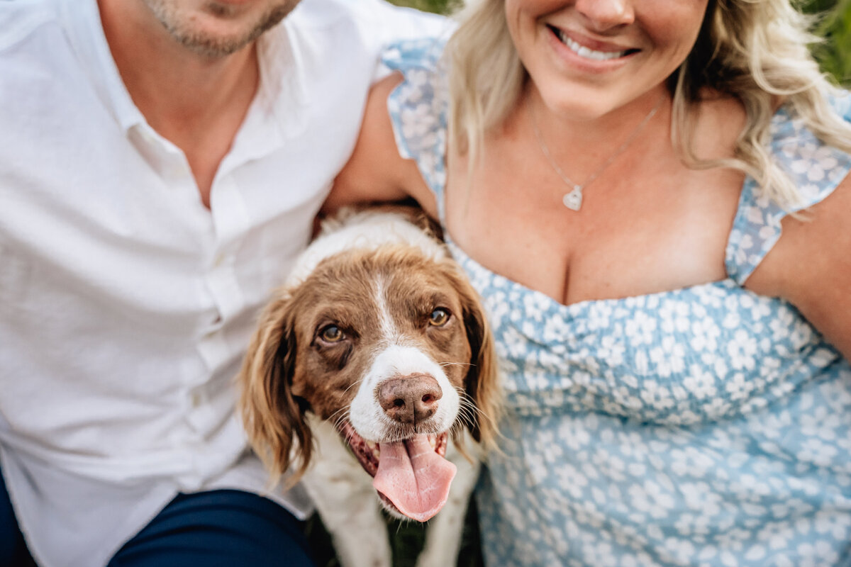 A close-up of a dog panting happily, sitting between a smiling pregnant woman and her partner.